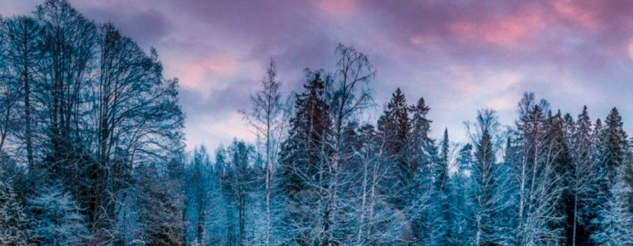 Lake in Finland